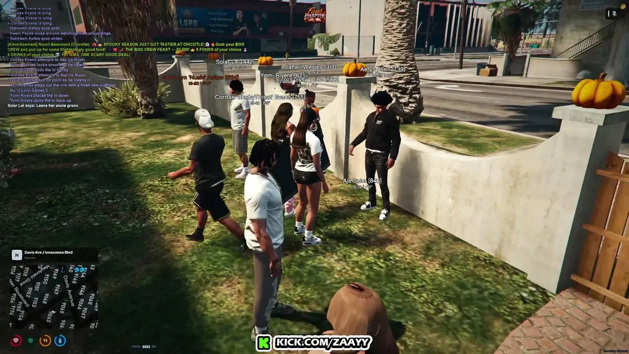 zaayy live stream