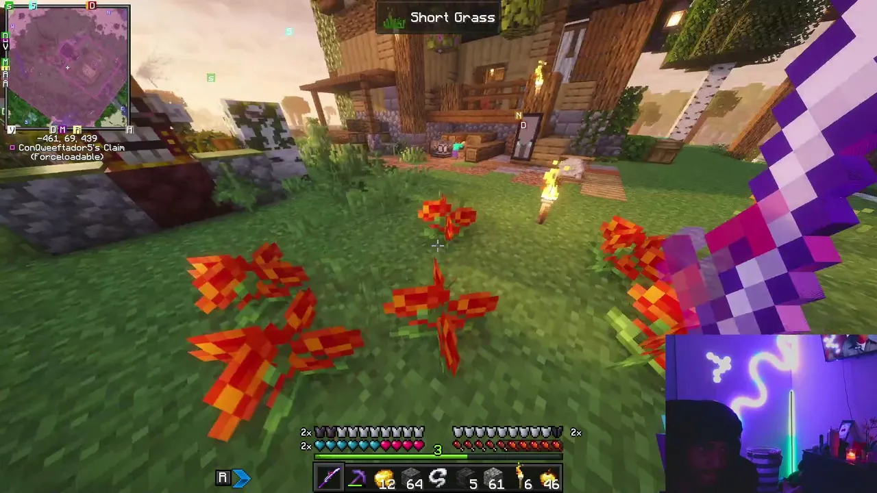 PlutoDynasty live