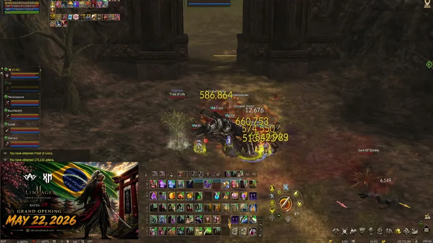 mateus-vivite Lineage 2 stream image