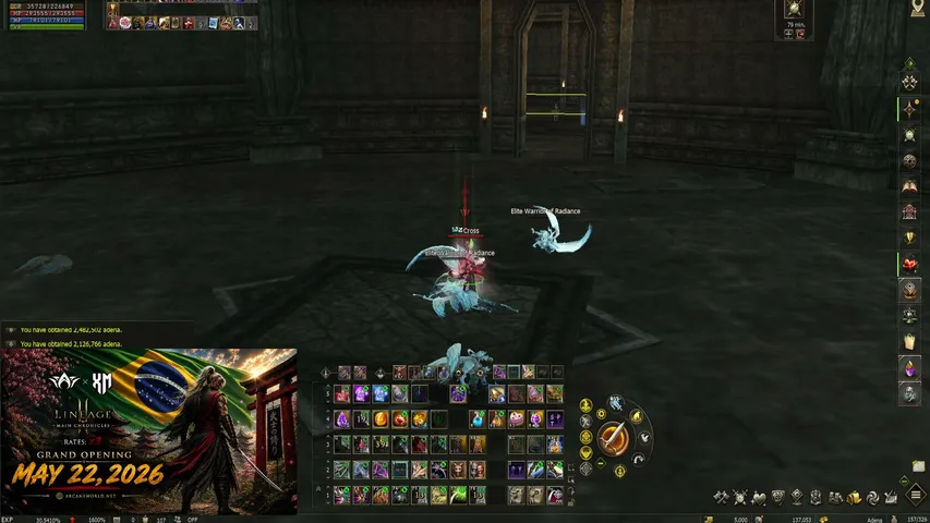 mateus-vivite Lineage 2 stream image