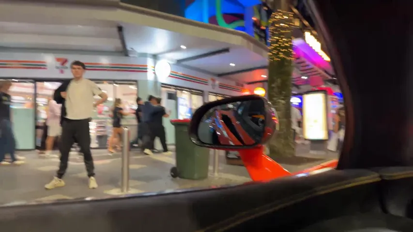 thepalagi