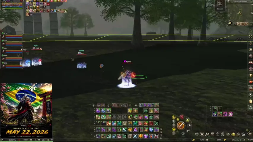 nymzl22 Lineage 2 stream image