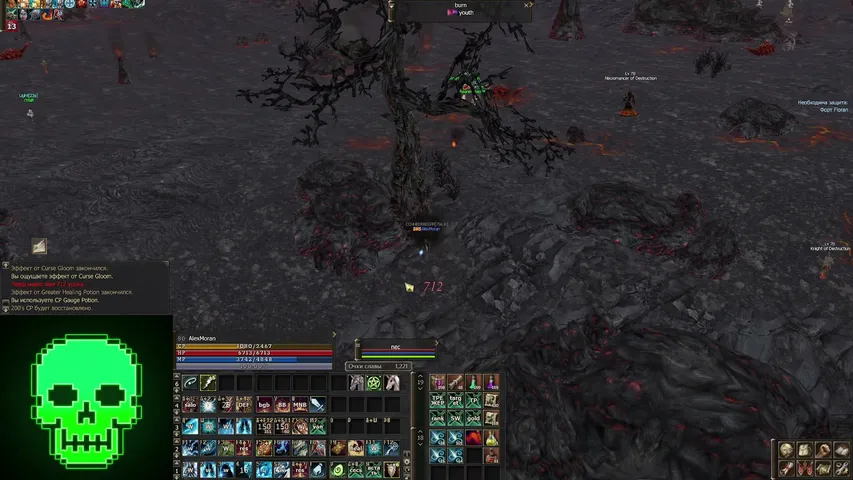 chrp666 Lineage 2 stream image