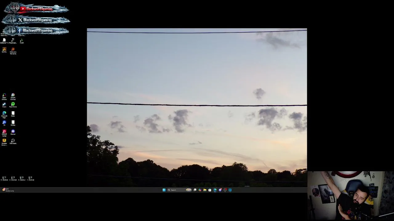 Blackwolf91gaming live