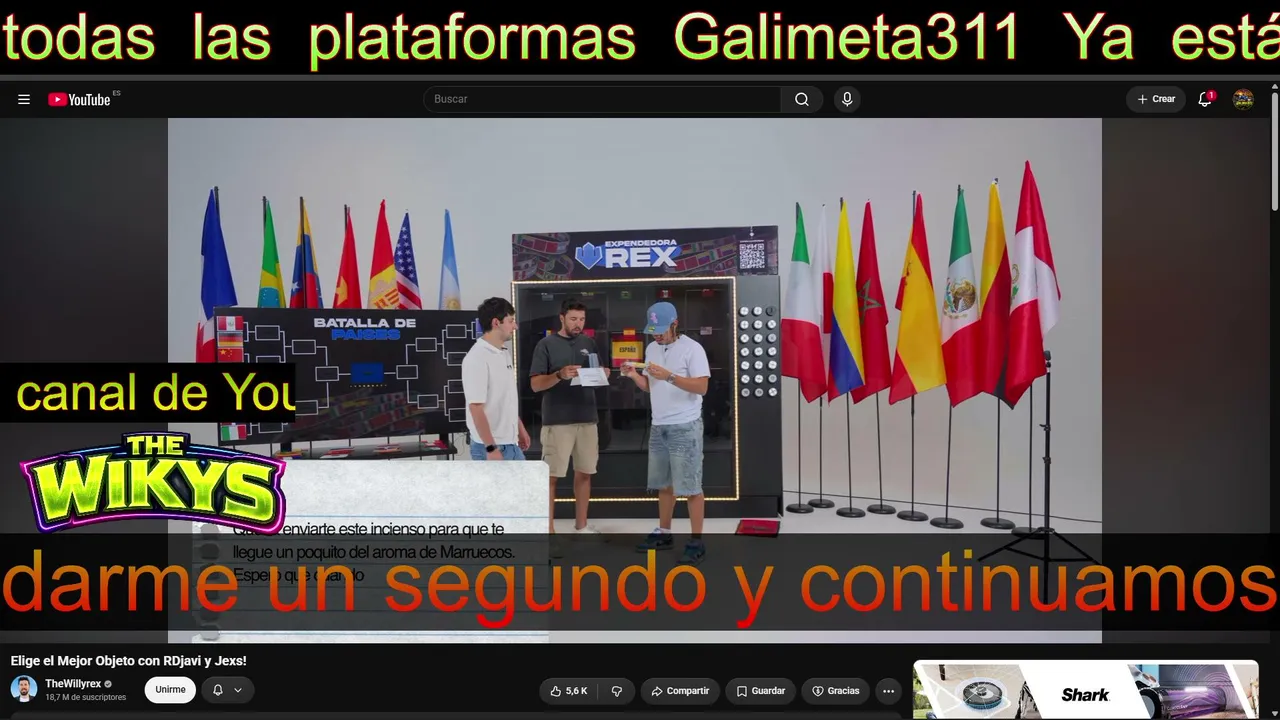 Galimeta311 live