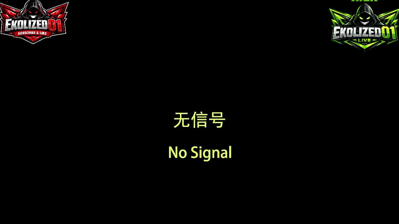 Ekolized01 live