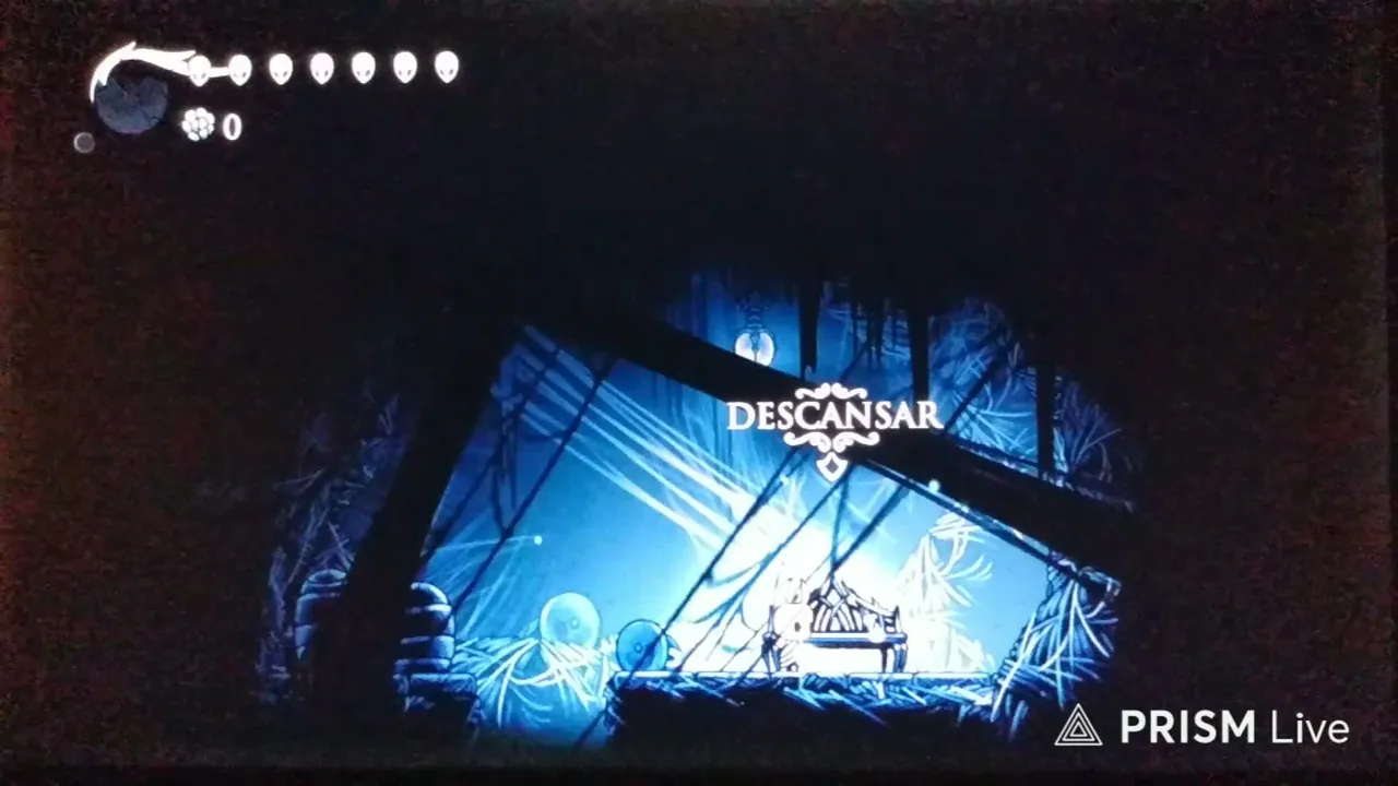 elkNisS live stream