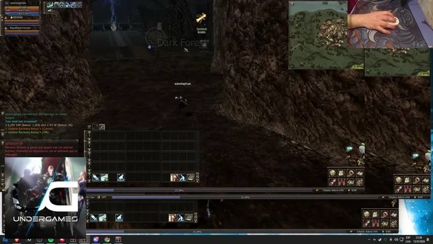 szylzen Lineage 2 stream image
