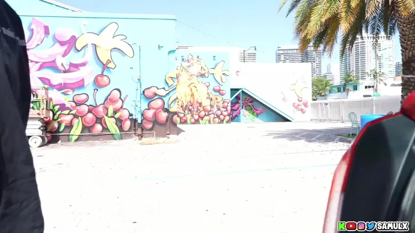samulx