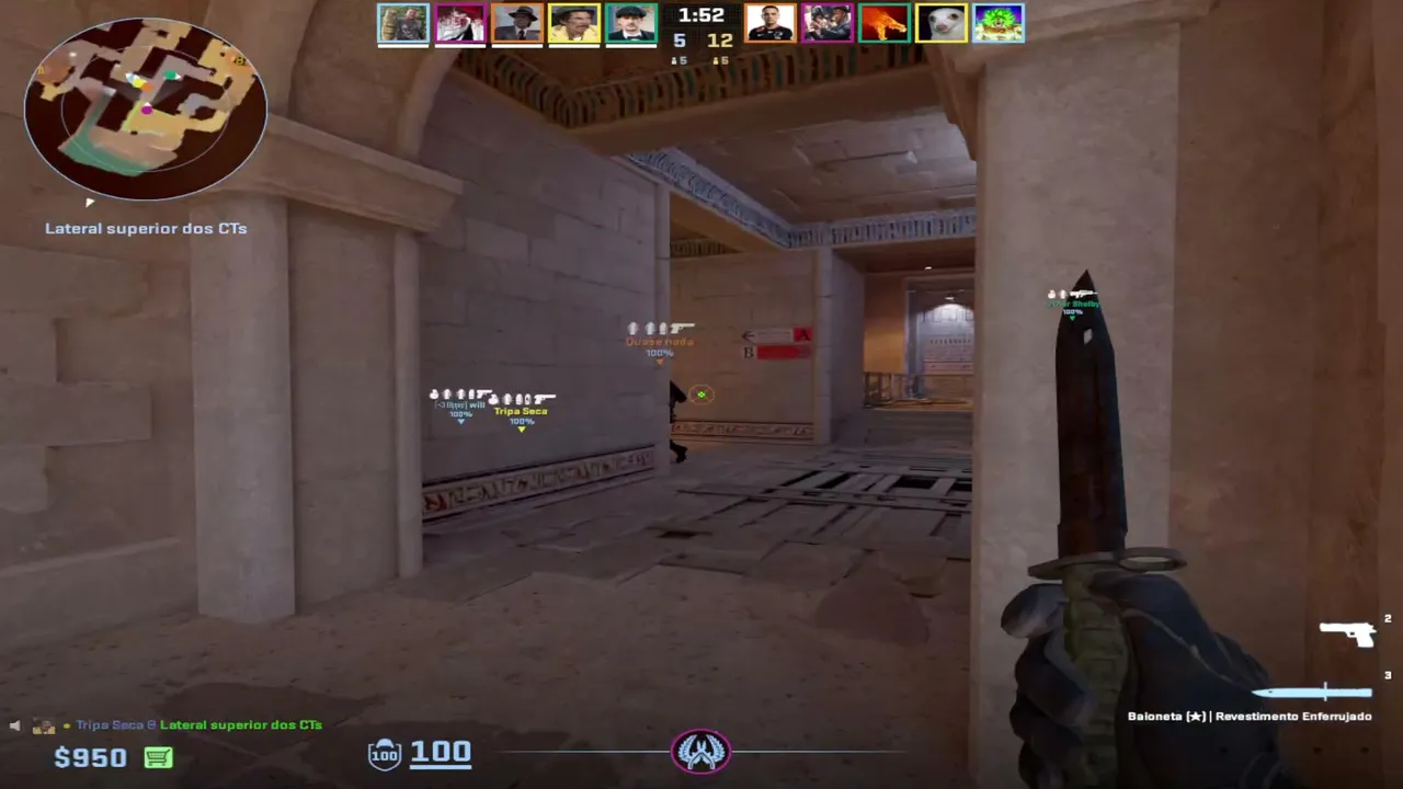pohuistamarinho live stream