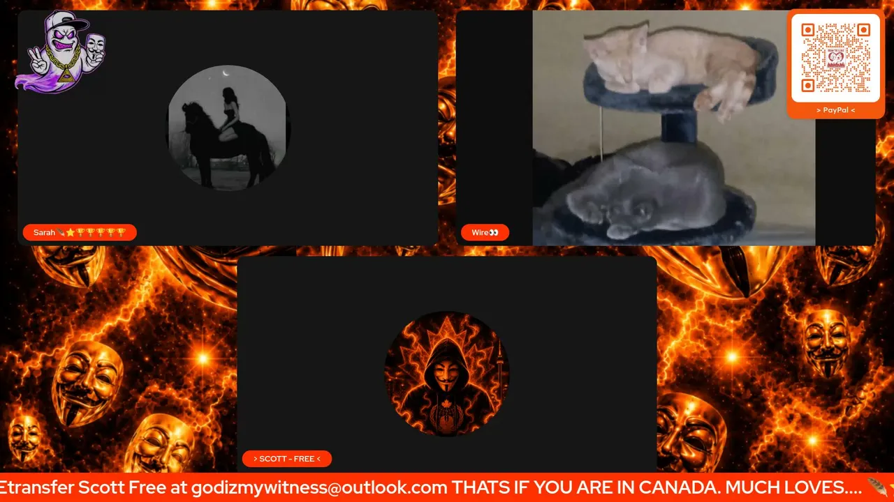 ScottFree187 live