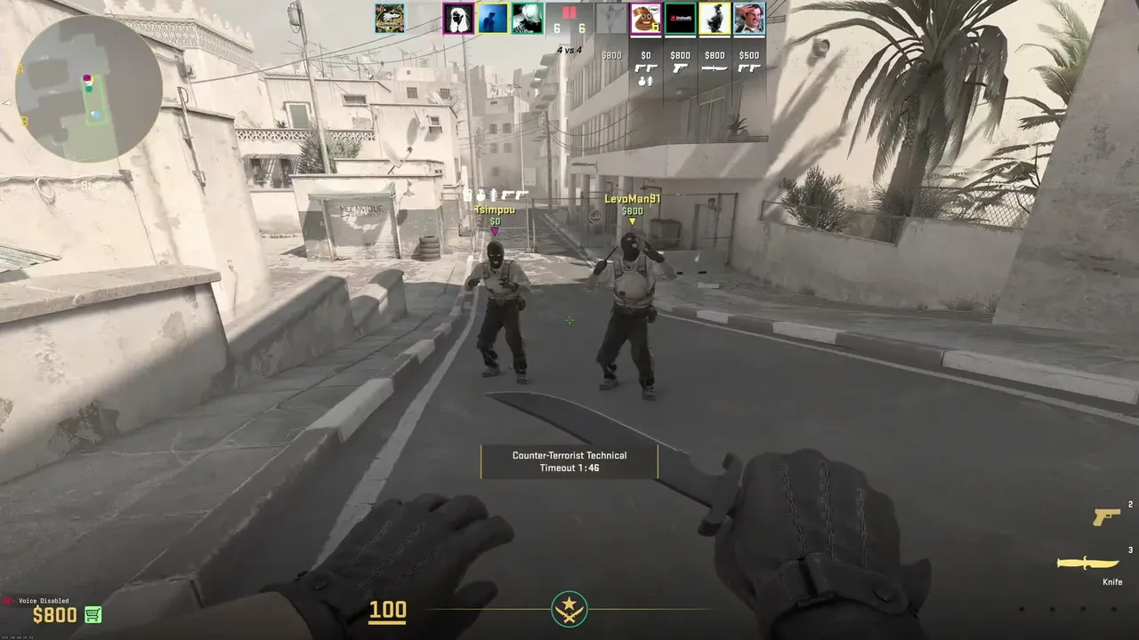 MiguelPig live