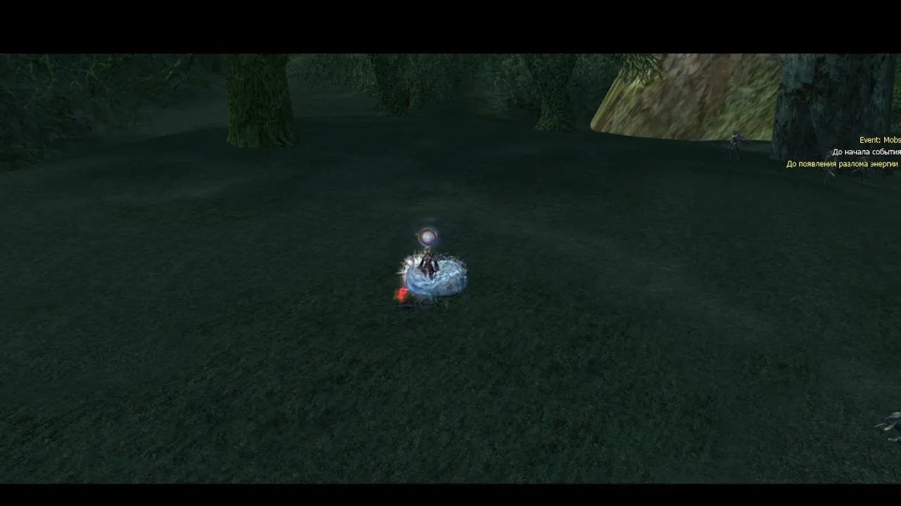 Destorus Live Stream