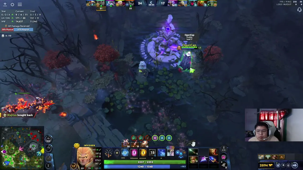 Kokzdota