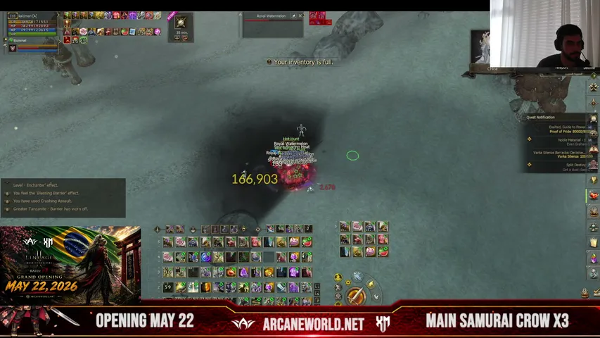 brucel2 Lineage 2 stream image