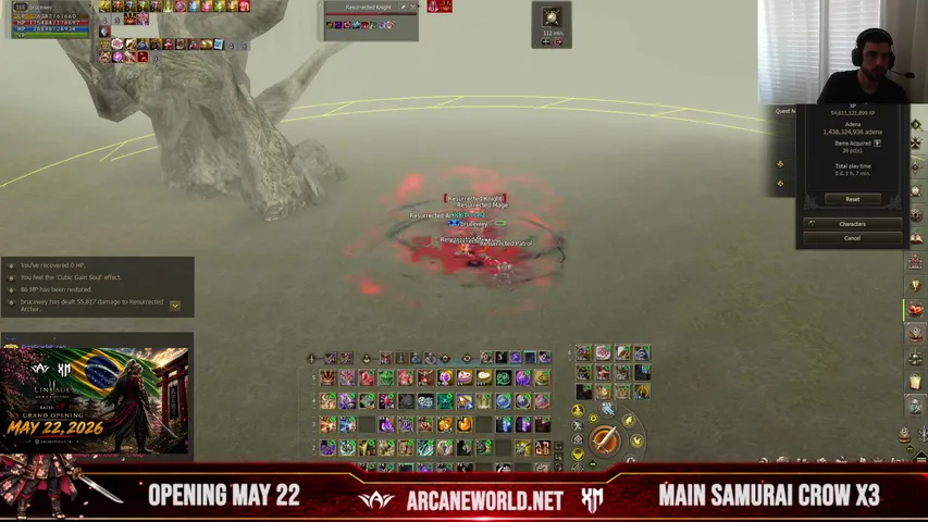 brucel2 Lineage 2 stream image