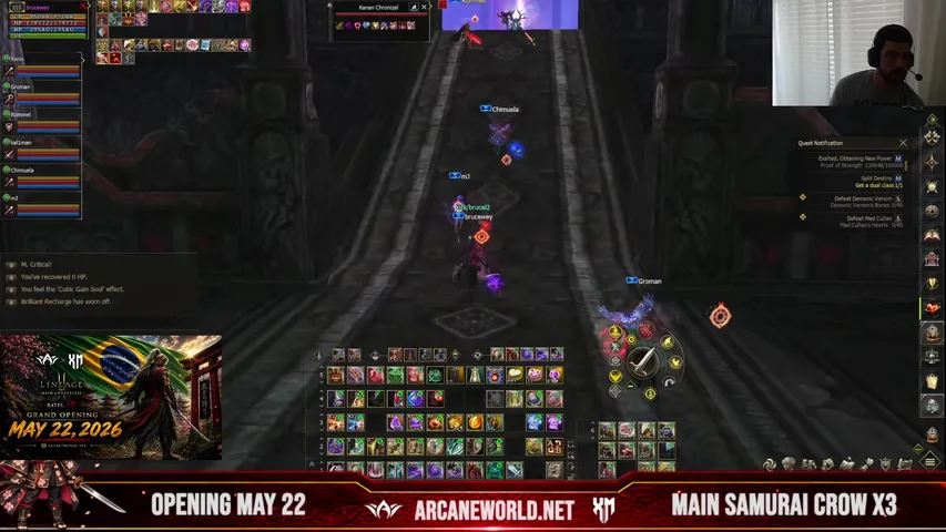brucel2 Lineage 2 stream image