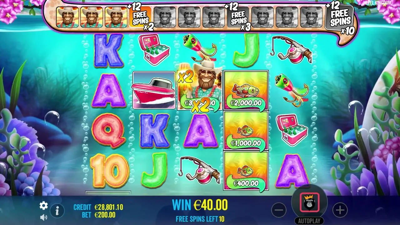 WildsBet live