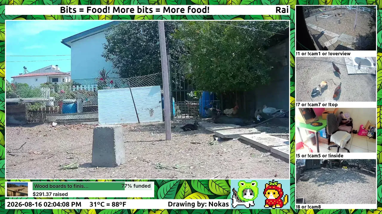OnePortugueseFarm live