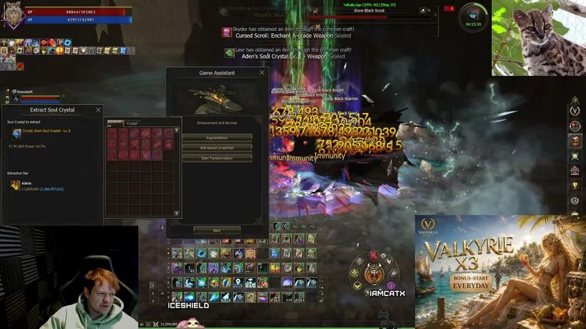 iamcatx Lineage 2 stream image