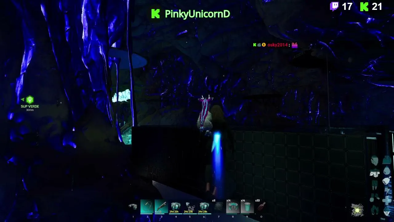 PinkyUnicornD