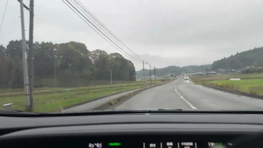 朝起きたらまた足の指の爪が剝がれてた。。。絶望しかない