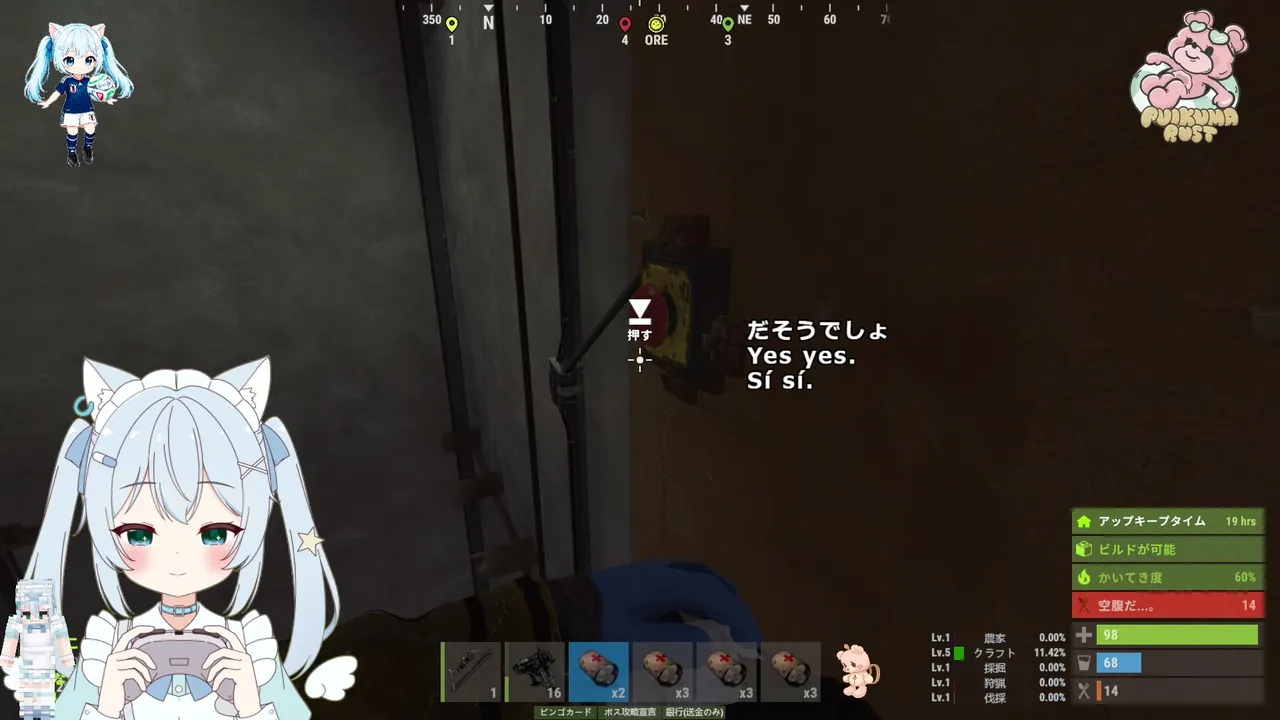 iris_shirosaki