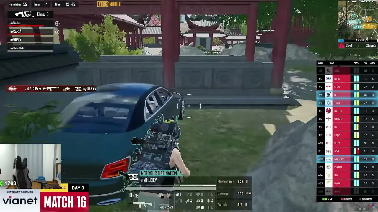 Mafianinja