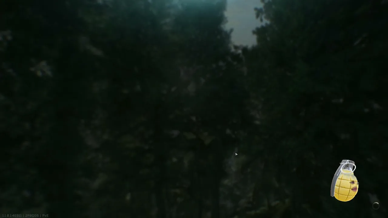 dsm_on live