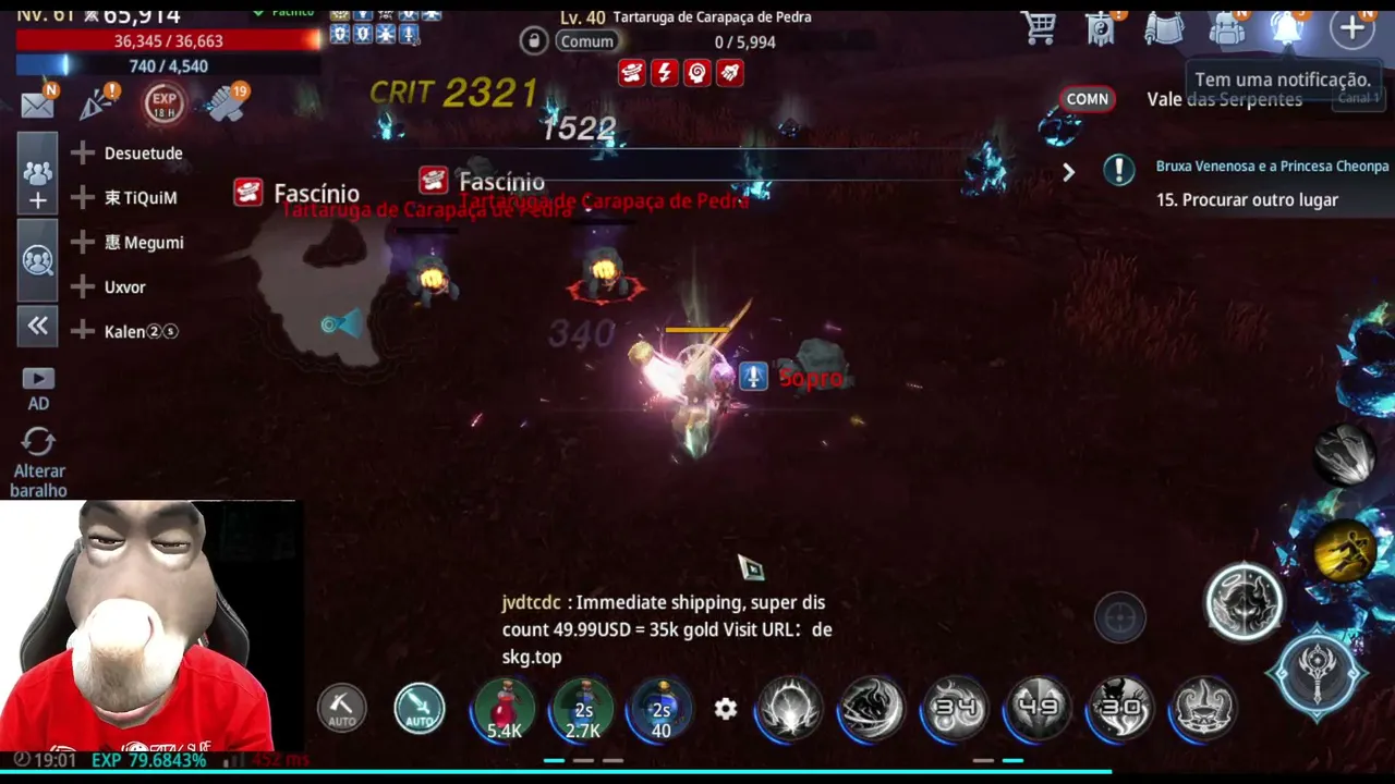 Bruno_mito live