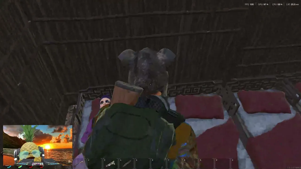 AceCookei live