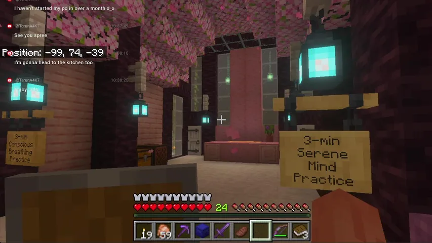 Minecraft & Meditation - SMP - Short Meditation Every 30-40 mins