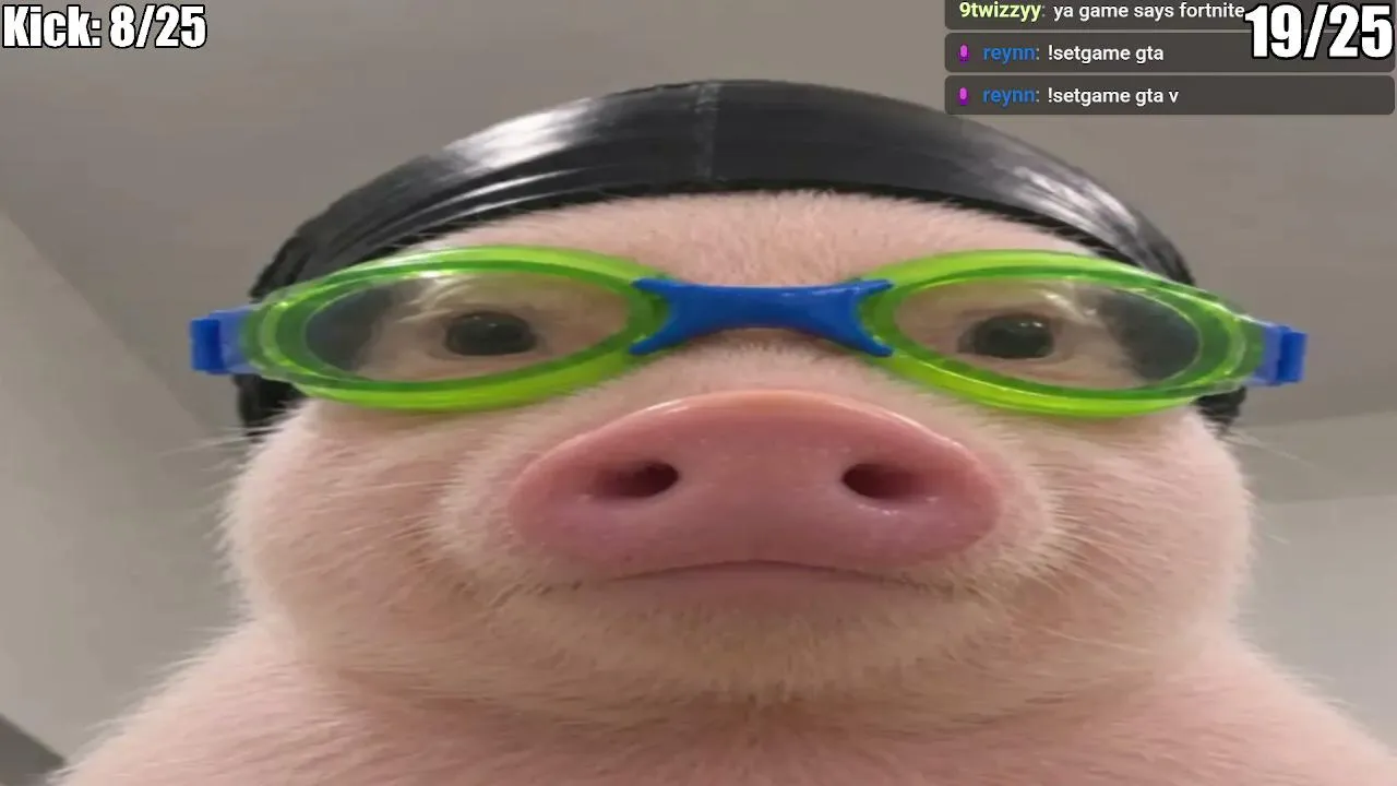 reynn