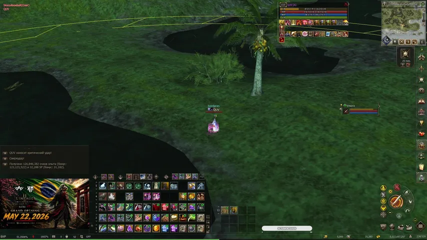 quvere Lineage 2 stream image