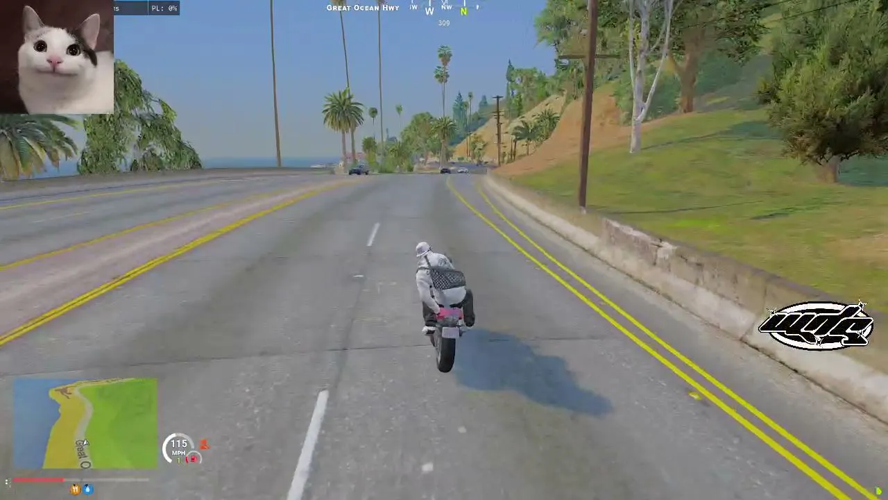 mylezzzqt live stream