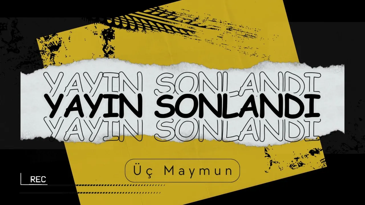 Uc_Maymun live