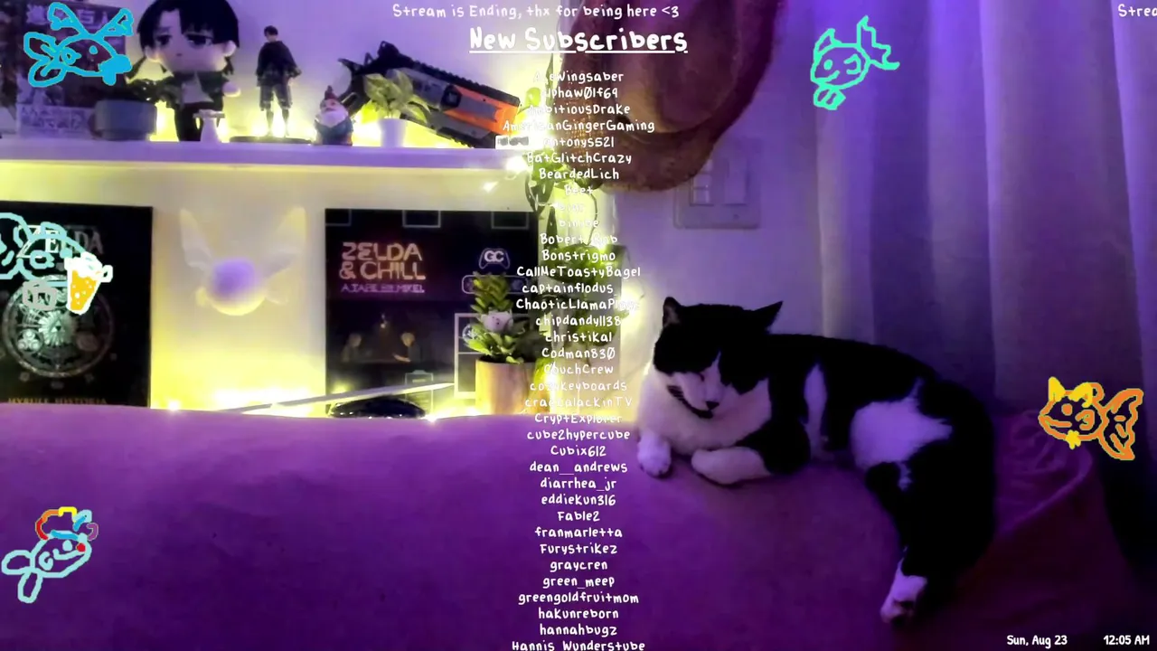 AllyPandaPants live