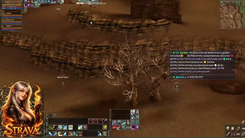 stravagame Lineage 2 stream image