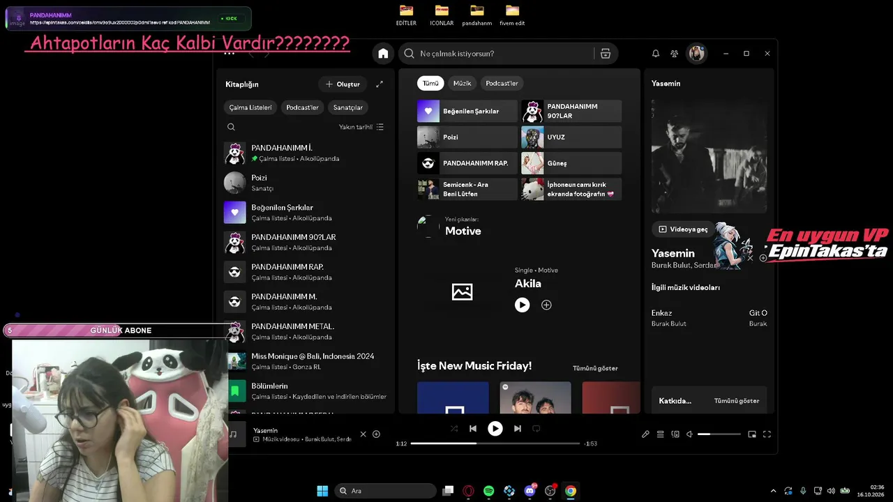 PANDAHANIMM live stream