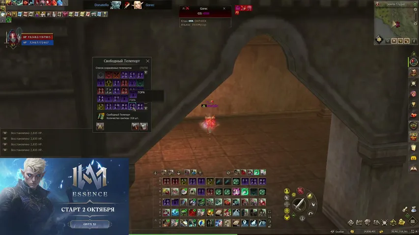 raijino Lineage 2 stream image