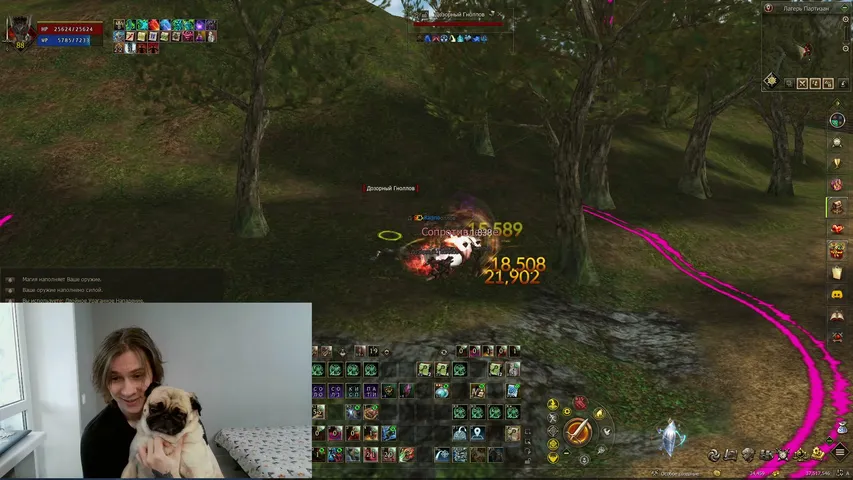 raijino Lineage 2 stream image