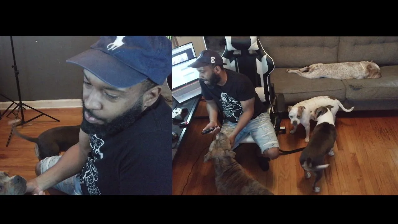 youknowtreeg live