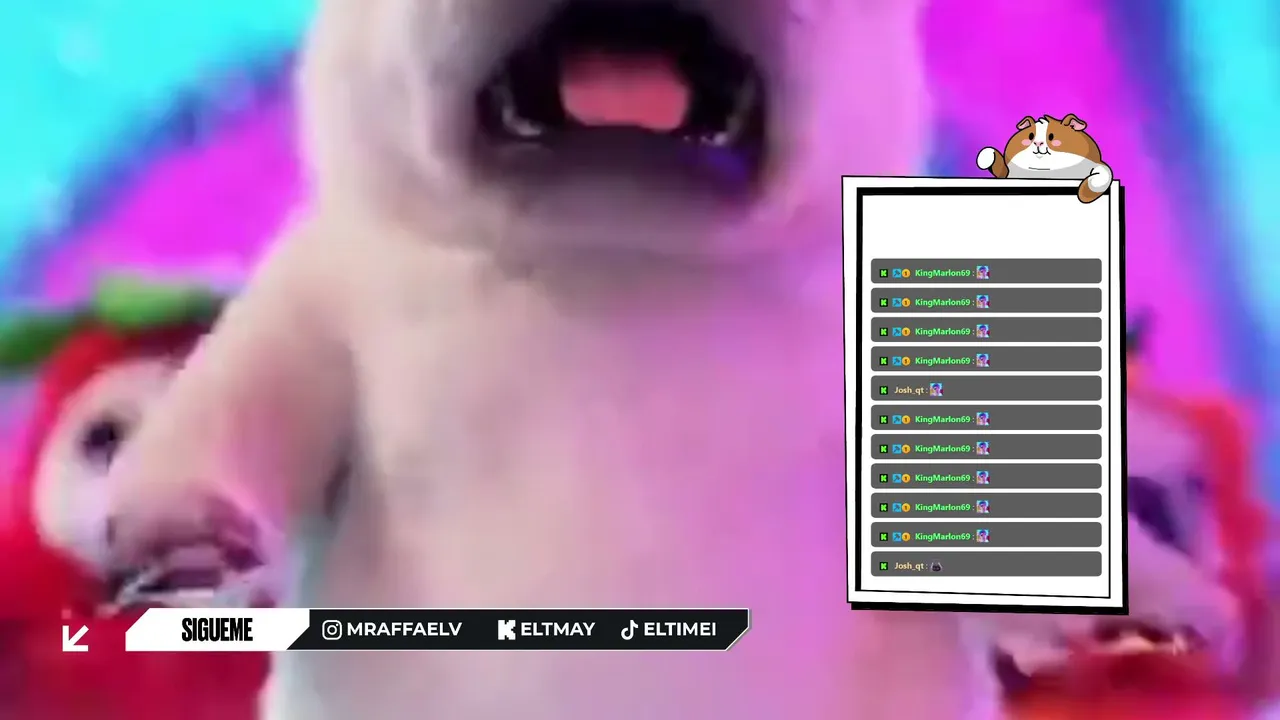 ElTMay live stream