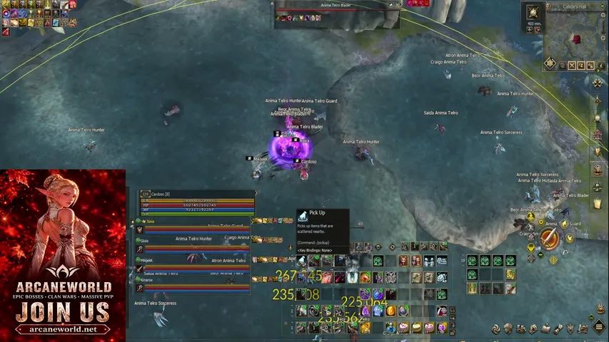 1cardos0 Lineage 2 stream image