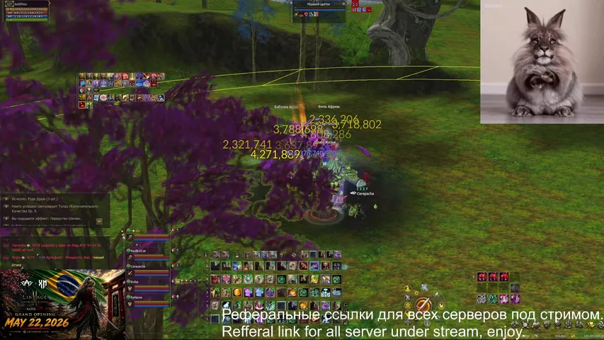 butwhooo Lineage 2 stream image