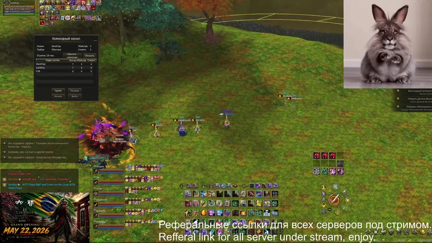 butwhooo Lineage 2 stream image