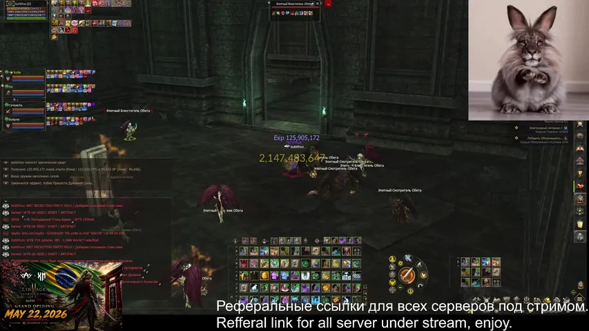 butwhooo Lineage 2 stream image