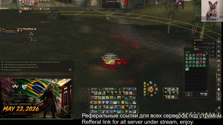 butwhooo Lineage 2 stream image
