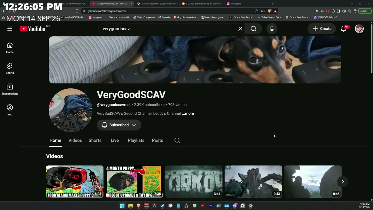 VeryBadSCAV live