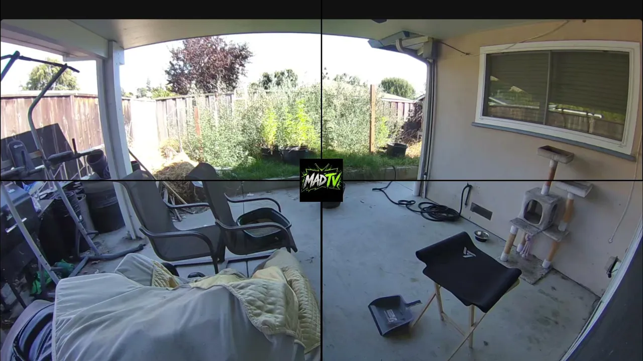 MadCCTV live